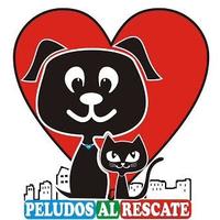 peludos al rescate(@peludosalrescat) 's Twitter Profileg