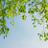 N_outandabout's profile image