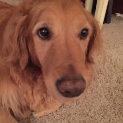 SaraNeuger's profile picture. 