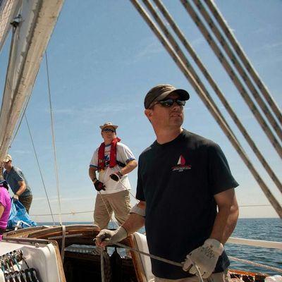 Shifeology's profile picture. 