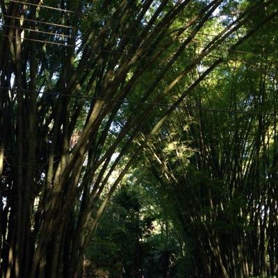 FlopesRegina's profile picture. 