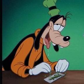 Frankyev's profile picture. Dj & Producer.
I like TURTLES