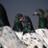 MANAL8S's profile image