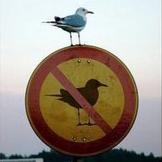 Antonio Sánchez Díaz