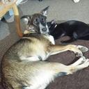 Mary Puffer - @686a764a168246f - Twitter