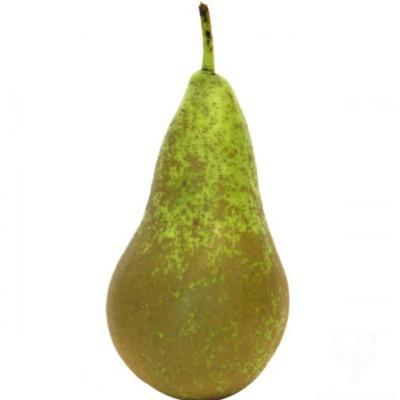 I'm so juicy...
Pearody Account