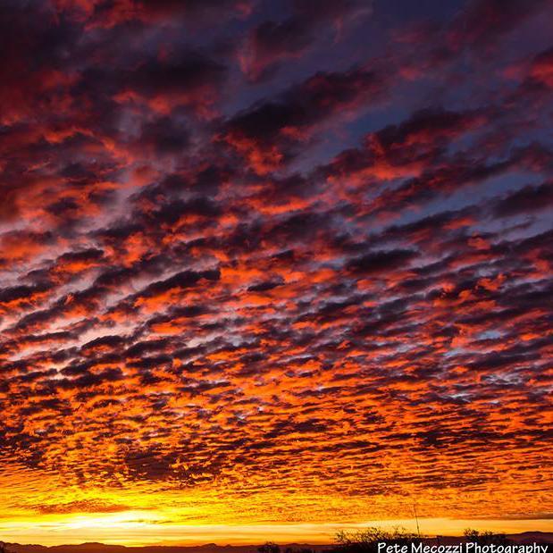 Desert Sky Festival (DesertSkyFest) Twitter