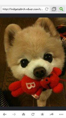 d050e78b60a9411's profile picture. 