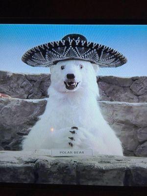 GolovKing101's profile picture. 