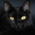 Bombay (@bombay_vs73) Twitter profile photo