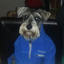 Fernando Vitela - @coachvitela - Twitter