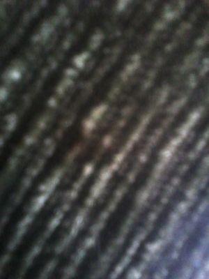 30-35 top ada kah