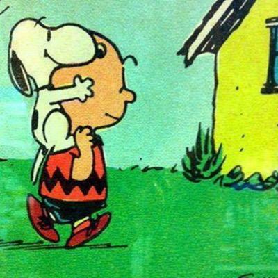 joh2506's profile picture. 