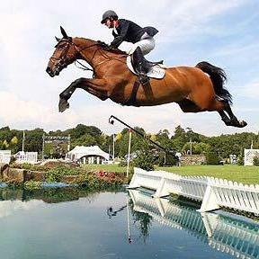 bae-sically we ride horses and drink