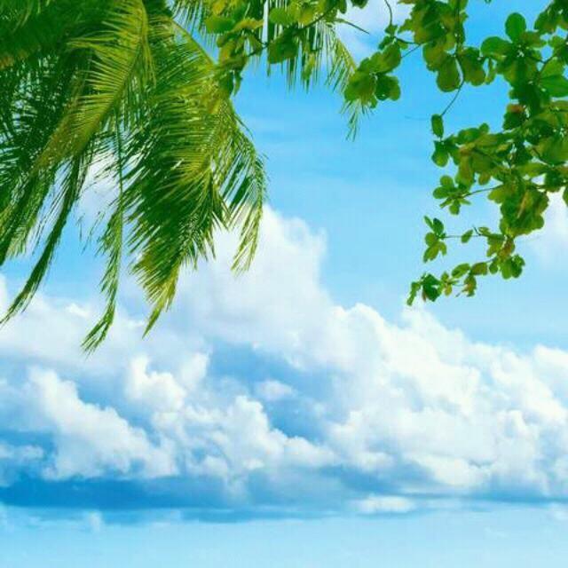 Ttoross's profile picture. caracas.  Venezuela