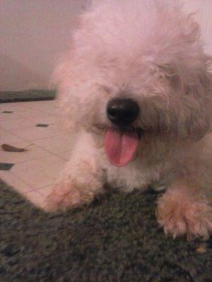 1d2457cae984444's profile picture. Nothing much... I'm just an average kid looking for something funny everday