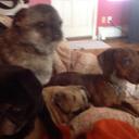 Mateo Hoffman - @HoffmanMateo - Twitter