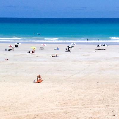 gdgoz49's profile picture. Interests in art