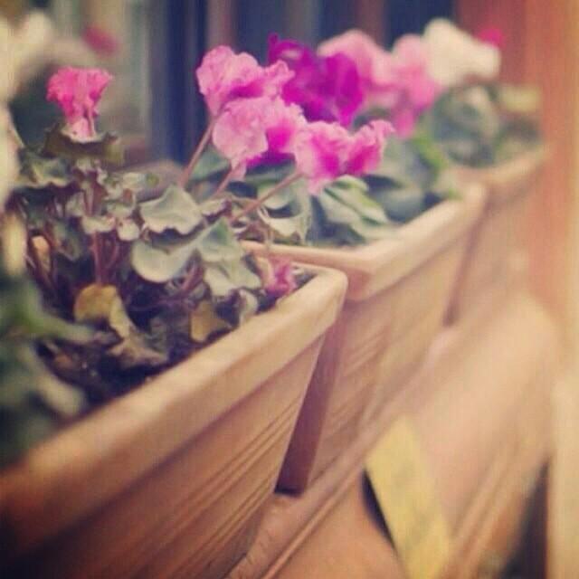 ‏‏‏‏‏‏‏ربي أسألك الجنة لحبيبـﮧ أنجبتني  وغالي ختم آسمي بـﮧ ♡'