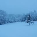 G. Marshall Reeves - @GMarshallReeves - Twitter