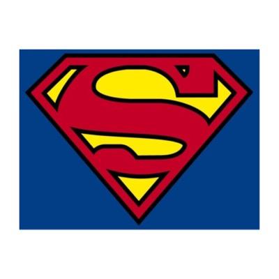 ProjSuperwoman's profile picture. a highschooler creating awareness and taking action