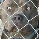 Henderson Smith - @Sweetpea19H - Twitter