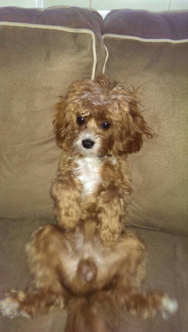 jakesegers's profile picture. Jack