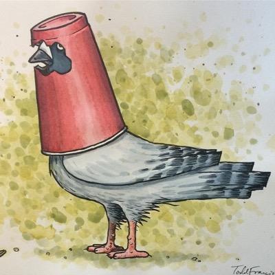50 shades of pigeon #pigeonist #oneholeunited