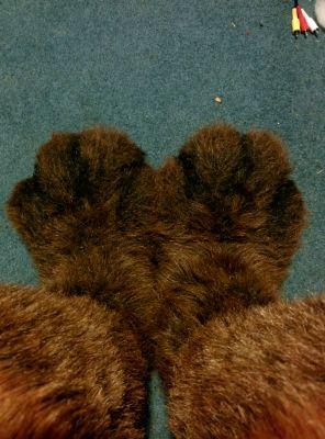 AD account for an Otter! 29

Don't post just lurk