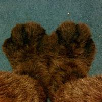 Footpaw Lover #4528 (@adsongr) 's Twitter Profile