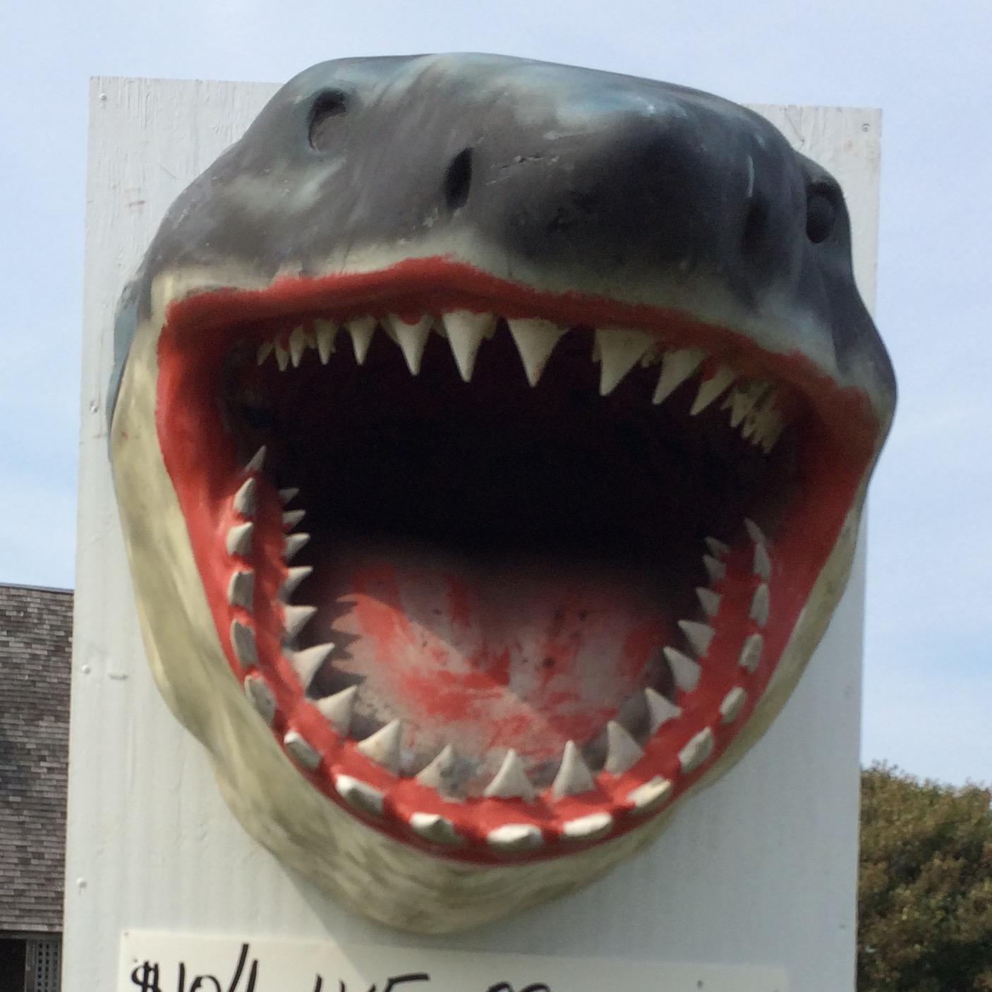 MarWar40's profile picture. 