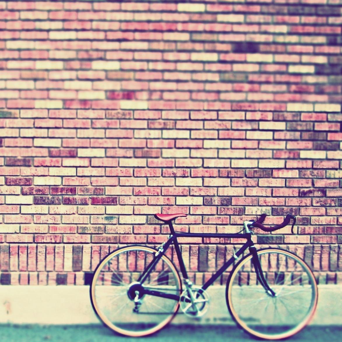 ignitesmedia's profile picture. 