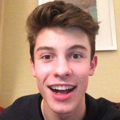 i don't do bios i do Shawn Mendes