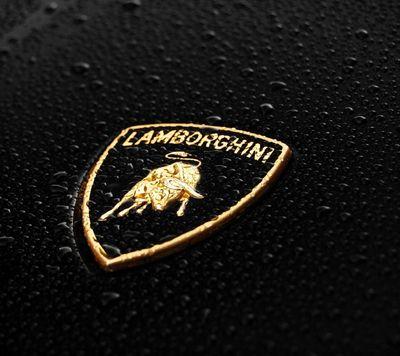 hamoudalmunjam's profile picture. 