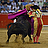 Información y opinión taurina