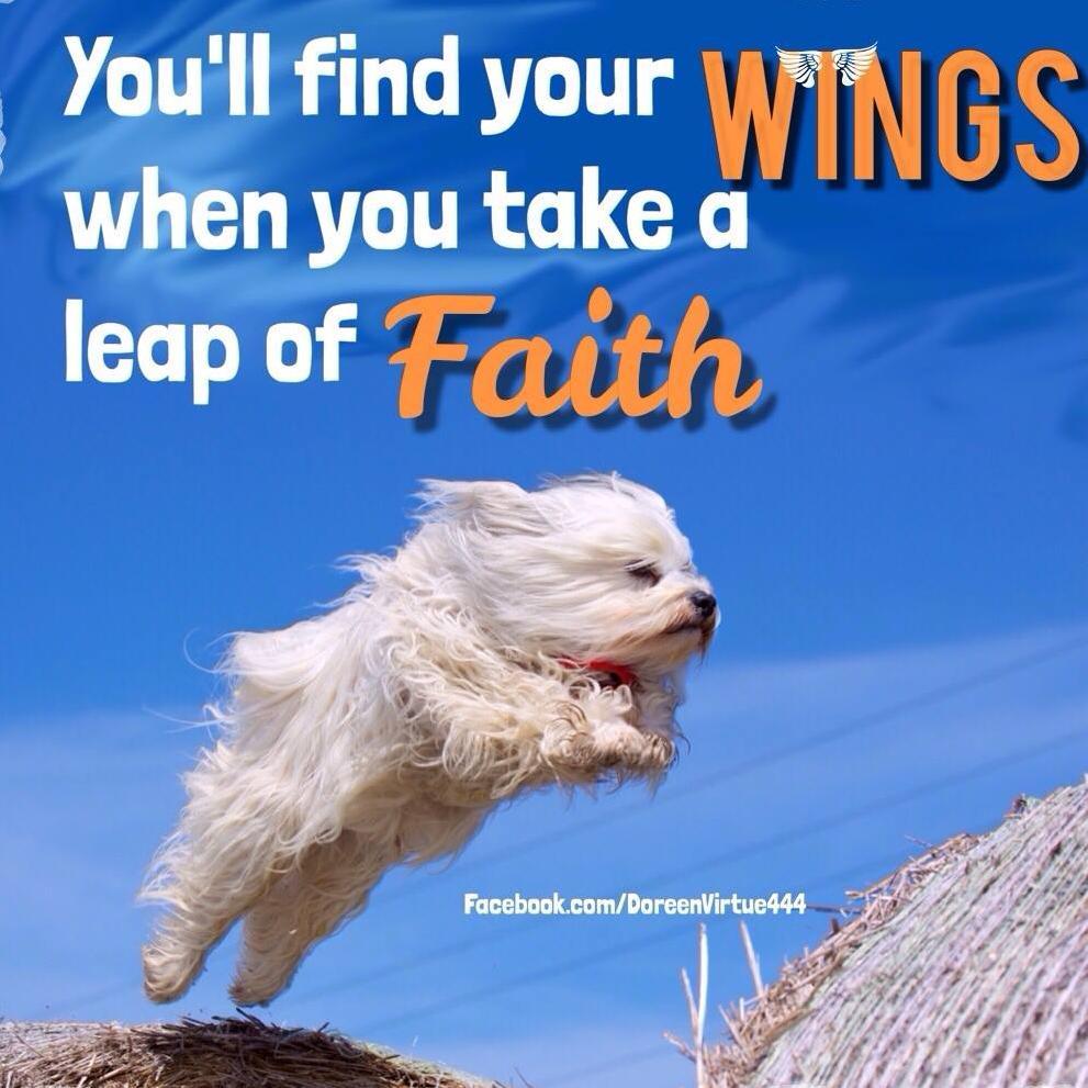 pharmaphysio's profile picture. 