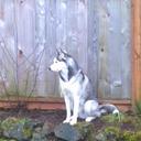 Josh Post - @jpostgt25 - Twitter