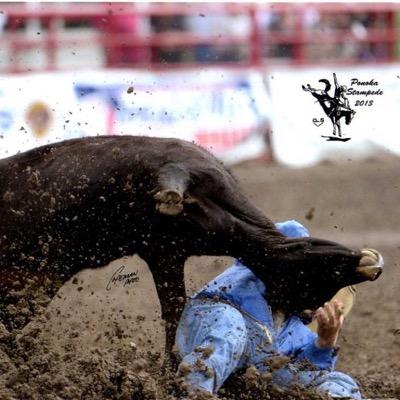 Pro Steer Wrestler