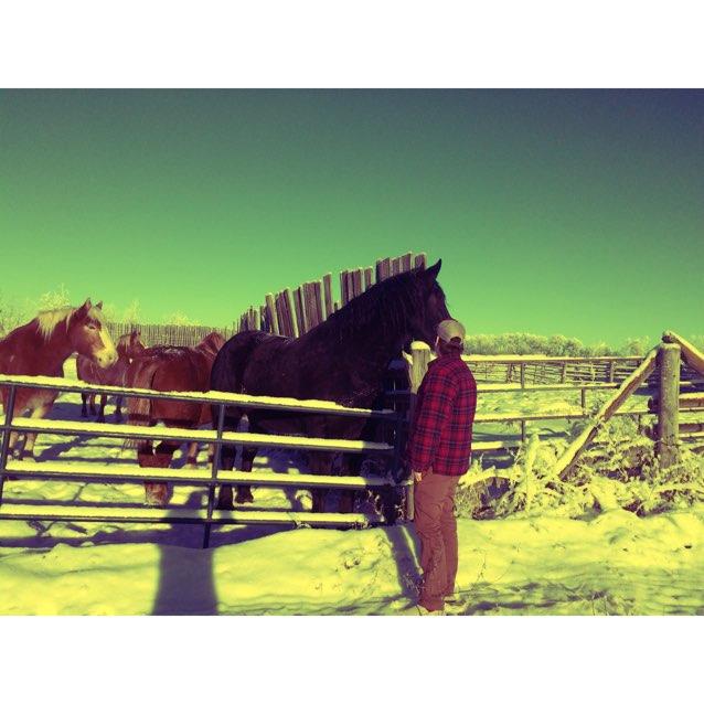 Stop saying there's alway's tomorrow, The sun will rise but someone you love may not.
