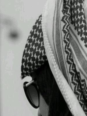 OchsFxibak's profile picture. 