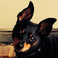 Natedogg (@nateklf) 's Twitter Profile