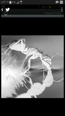 7abet's profile picture. 