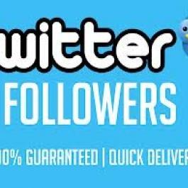 I will give 21000 twitter followers in 24 hours for $5