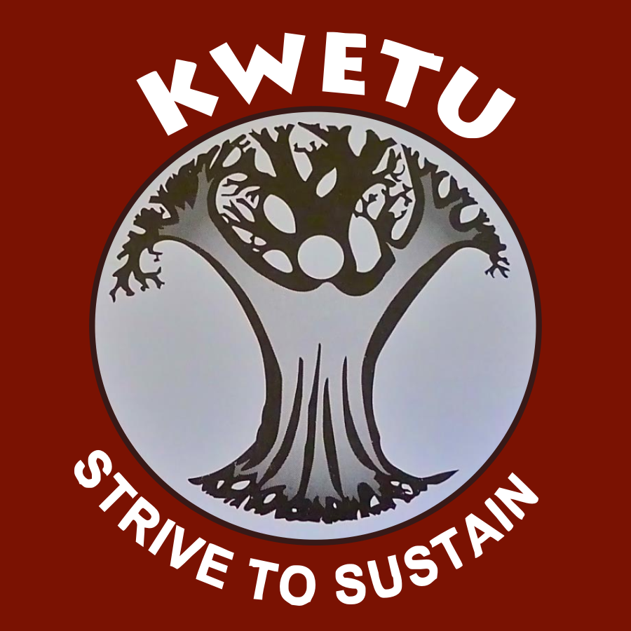 for Sustainable Development is a grassroots Non-Governmental
Organization. Kwetu envisages a poverty
free community living in a safe and healthy environment.