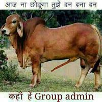 Om Prakash (@e6fbf6b5c94e449) 's Twitter Profile