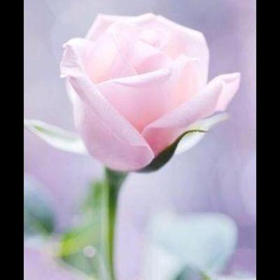 كتاباتي جزء صادق ..وجزءواقع...جزء يلامسني والآخر يعجبني...جزء من الخيال وجزء خواطر تراودني..اسطرهاا واكتبهااا ..فتريحني..وافرح بهاا...☺️