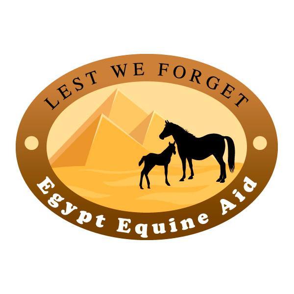 We are here to help working horses & donkeys in #Egypt.