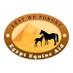 Egypt Equine Aid (@egyptequineaid) Twitter profile photo Egypt Equine Aid (@egyptequineaid) Twitter profile photo