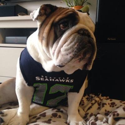 bigphillie13's profile picture. 