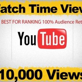 I will give 11500+ safe High Retention Youtube Views for $10